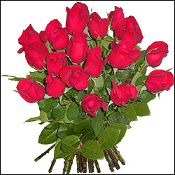 "Beautiful bouquet of 15 Red Roses - Express Delivery - Click here to View more details about this Product